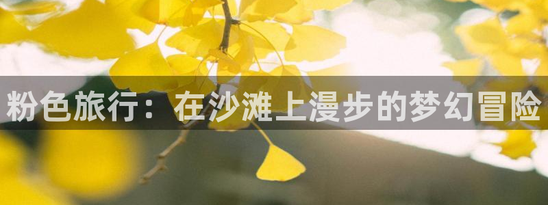 “海角社区最新登录入口：粉色旅行：在沙滩上