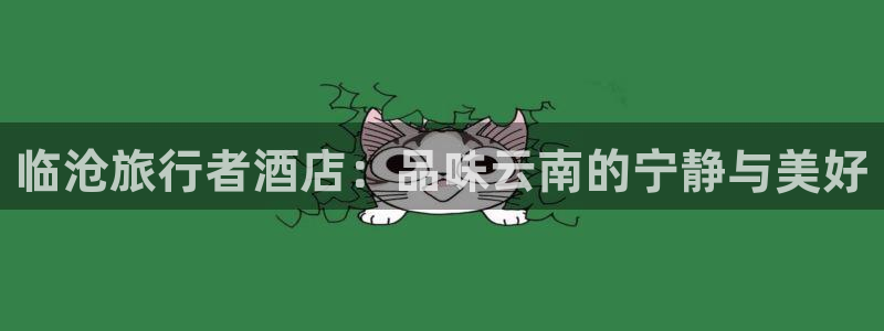 “海角社区免费观影：临沧旅行者酒店：品味云