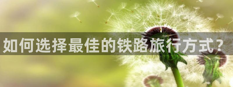 “免费海角社区：如何选择最佳的铁路旅行方式
