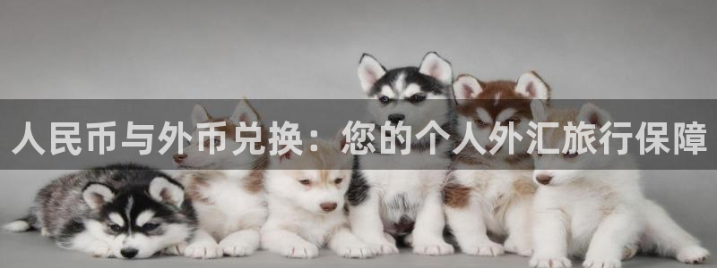 “海角社区千万资源：人民币与外币兑换：您的