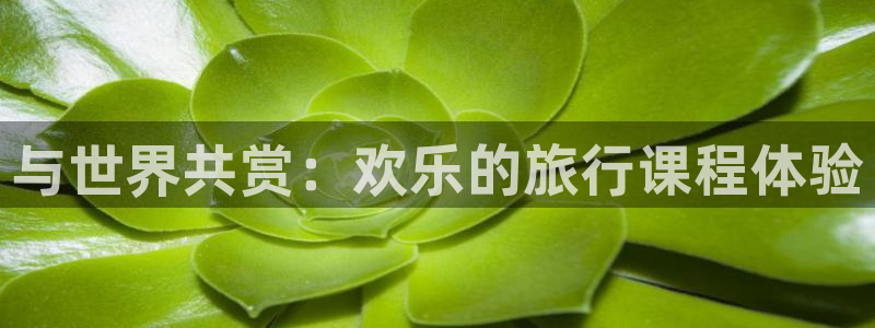 “海角社区登陆网址：与世界共赏：欢乐的旅行