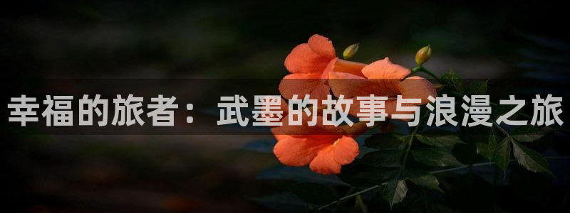 “海角社区是什么意思：幸福的旅者：武墨的故