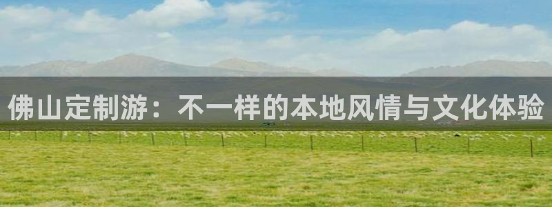 “91大神海角社区：佛山定制游：不一样的本