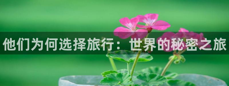 “最新海角社区app：他们为何选择旅行：世