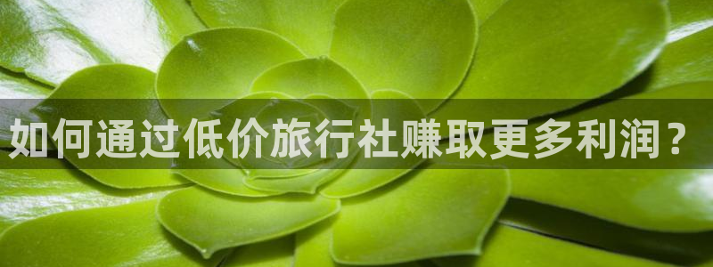 “haijiaonet海角社区：如何通过低