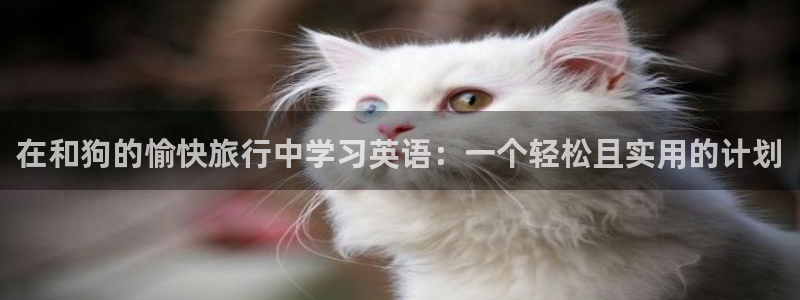 “披风少年海角社区：在和狗的愉快旅行中学习