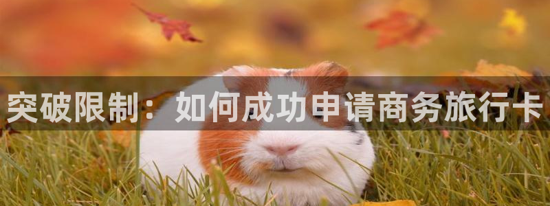 “海角社区精品在线：突破限制：如何成功申请