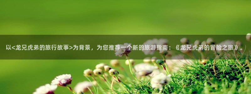 “海角社区11207126：以<龙兄虎弟的