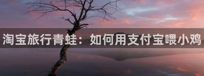 亚洲综合海角社区：淘宝旅行青蛙：如何用支付宝喂小鸡