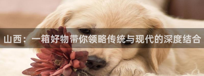 “hj520me海角社区：山西：一箱好物带