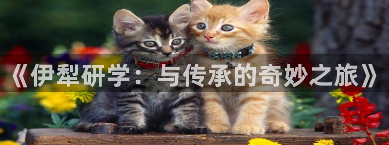 “海角社区广场：《伊犁研学：与传承的奇妙之