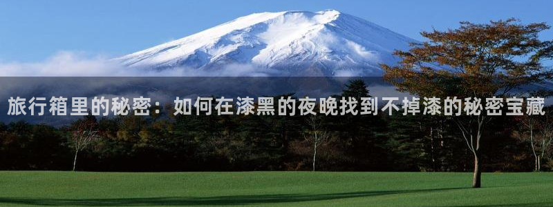 海角社区在线登录海角：旅行箱里的秘密：如