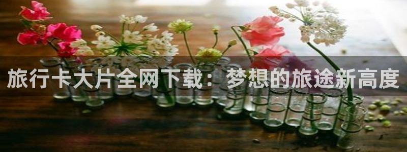 海角社区id14566422：旅行卡大片