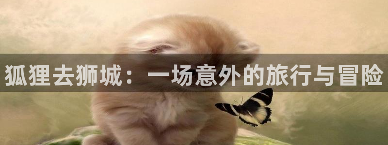 海角社区haijiao：狐狸去狮城：一场