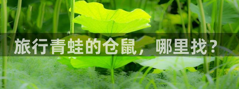 海角社区域名：旅行青蛙的仓鼠，哪里找？